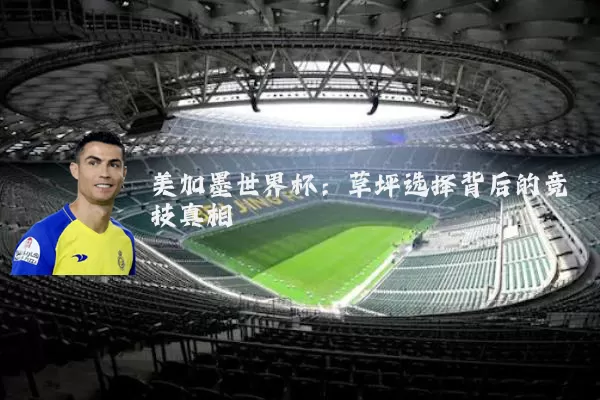 美加墨世界杯：草坪选择背后的竞技真相